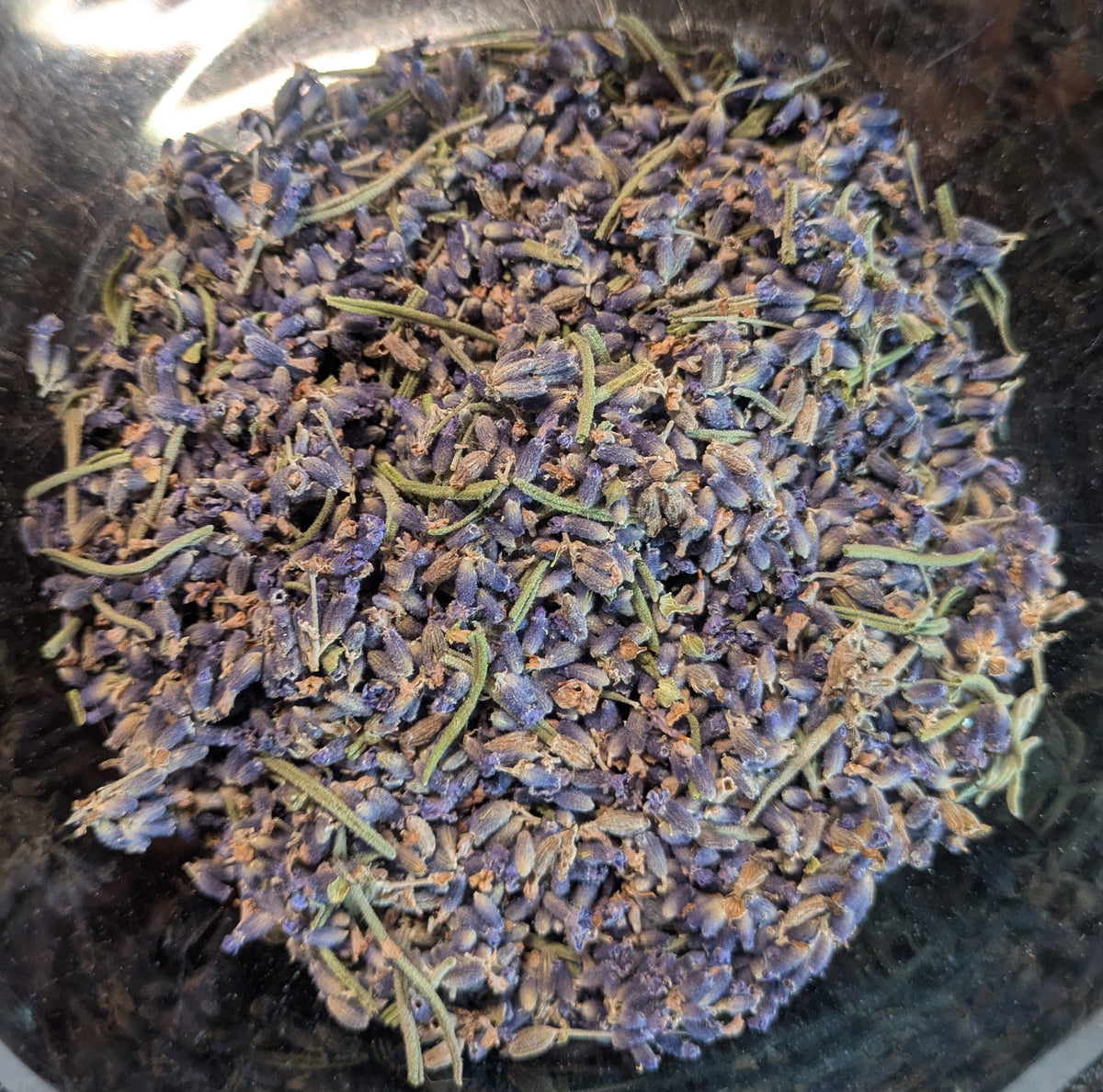 Dried French Lavender (Lavandula dentata) Blooms, Buds, and Leaves