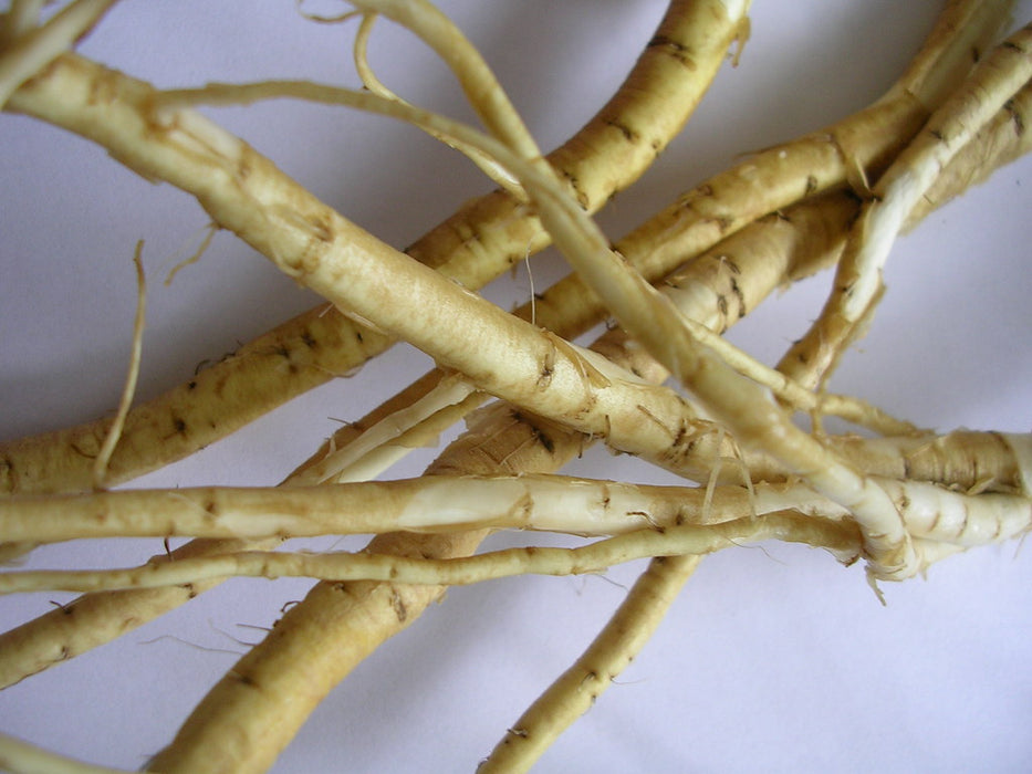 Marshmallow Root - Certified OG