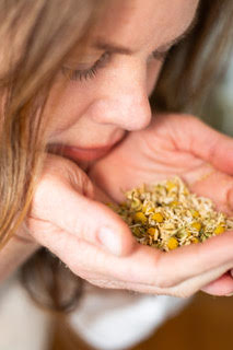 Grow Your Own Apothecary Course - Monthly Installments