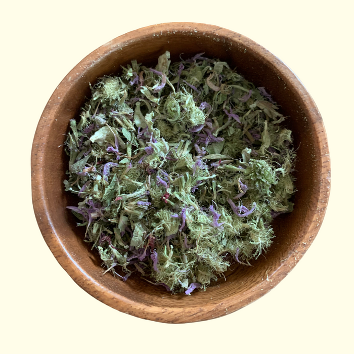 Bee Balm / Wild Bergamot - Certified OG