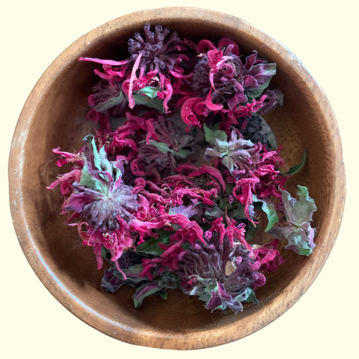 Bee Balm - Certified OG