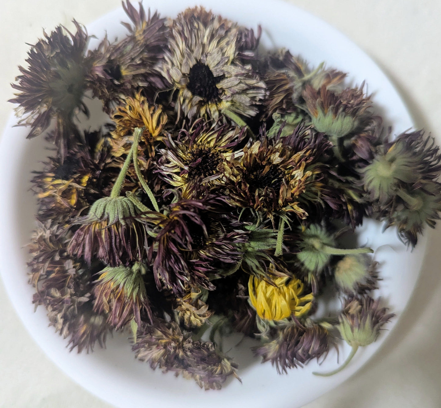 Calendula Mixed variety