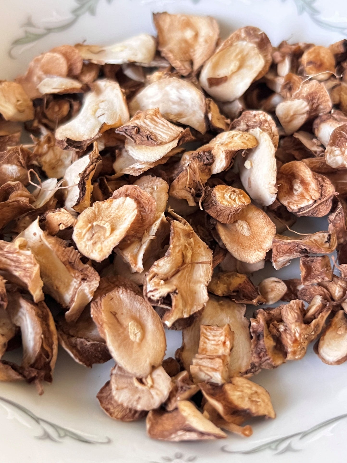 Dandelion Root