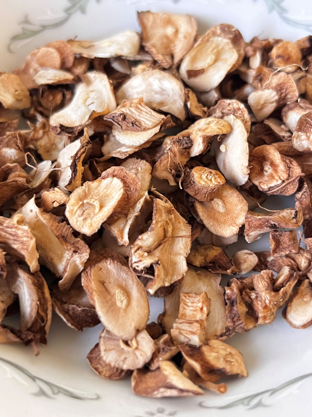 Dandelion Root