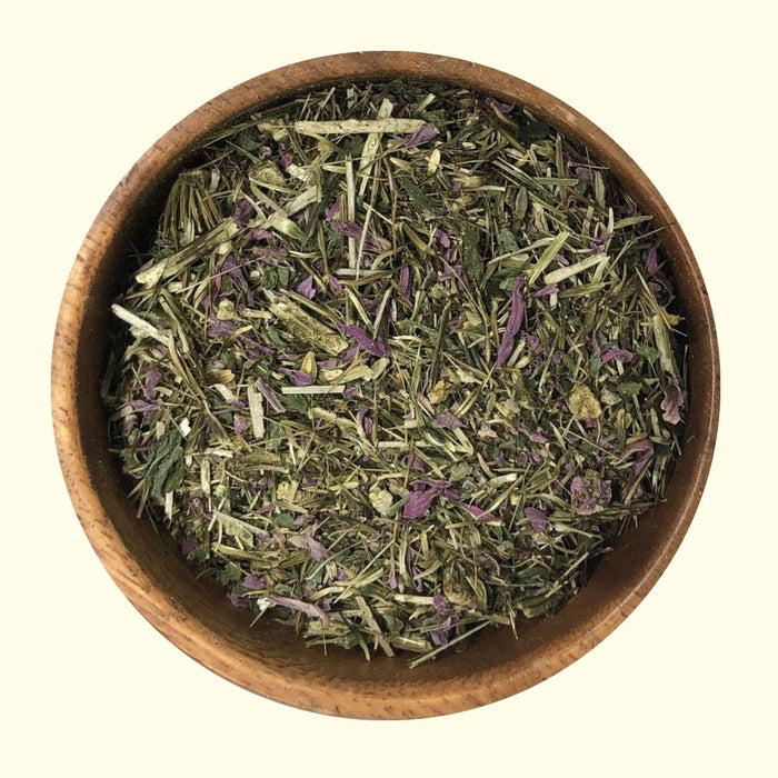 Echinacea / Purple Coneflower - Grown Organically