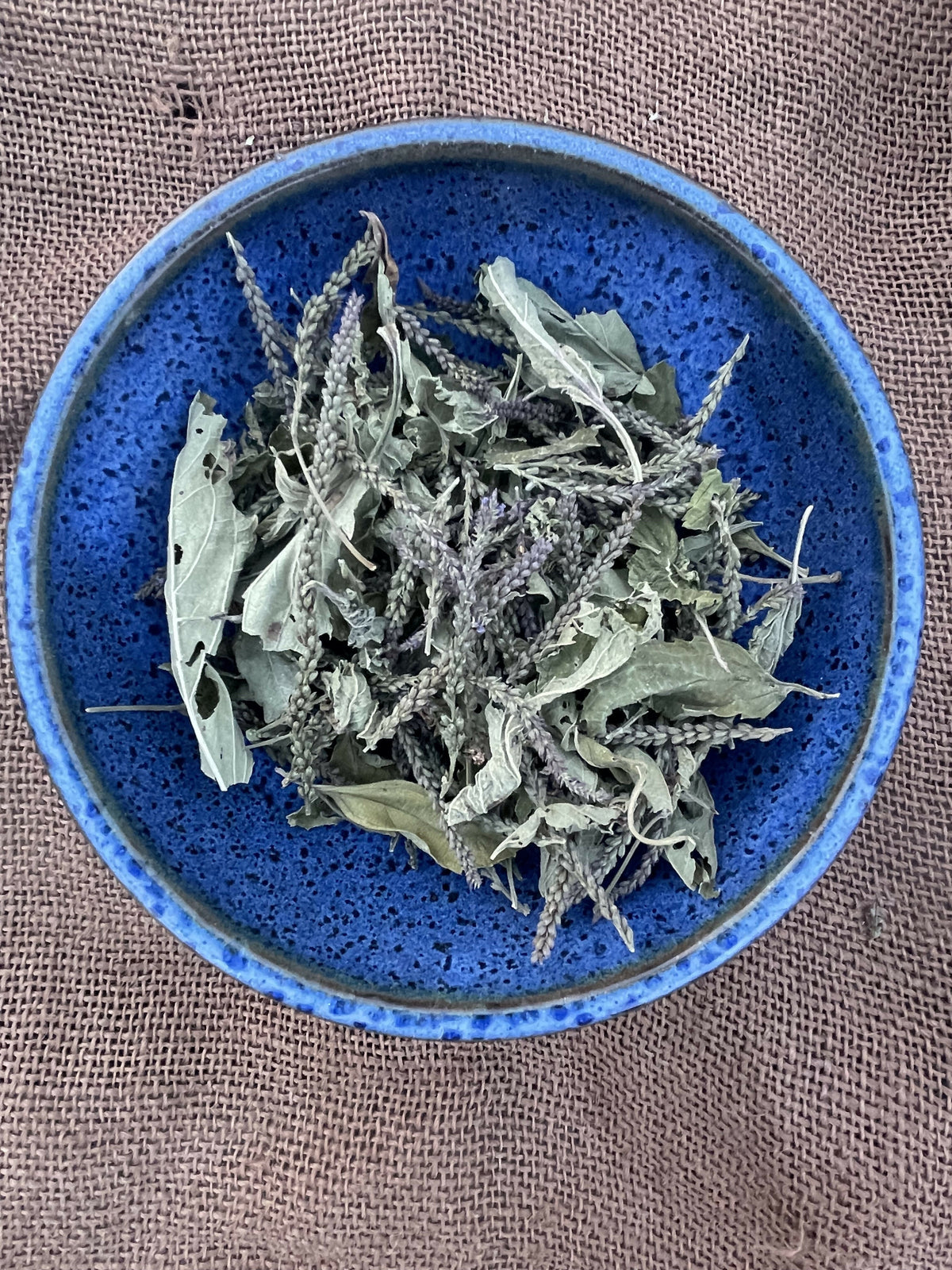 Blue Vervain - Certified OG