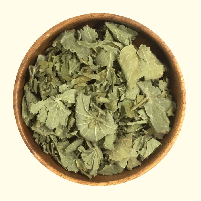 Lady's Mantle - Certified OG