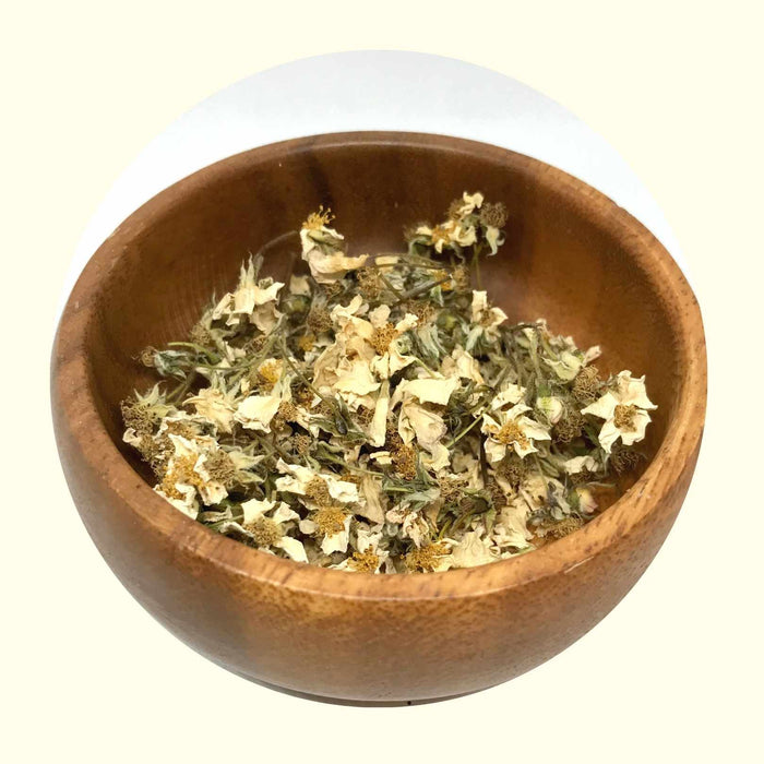 Wild Rose Petals - Grown Organically