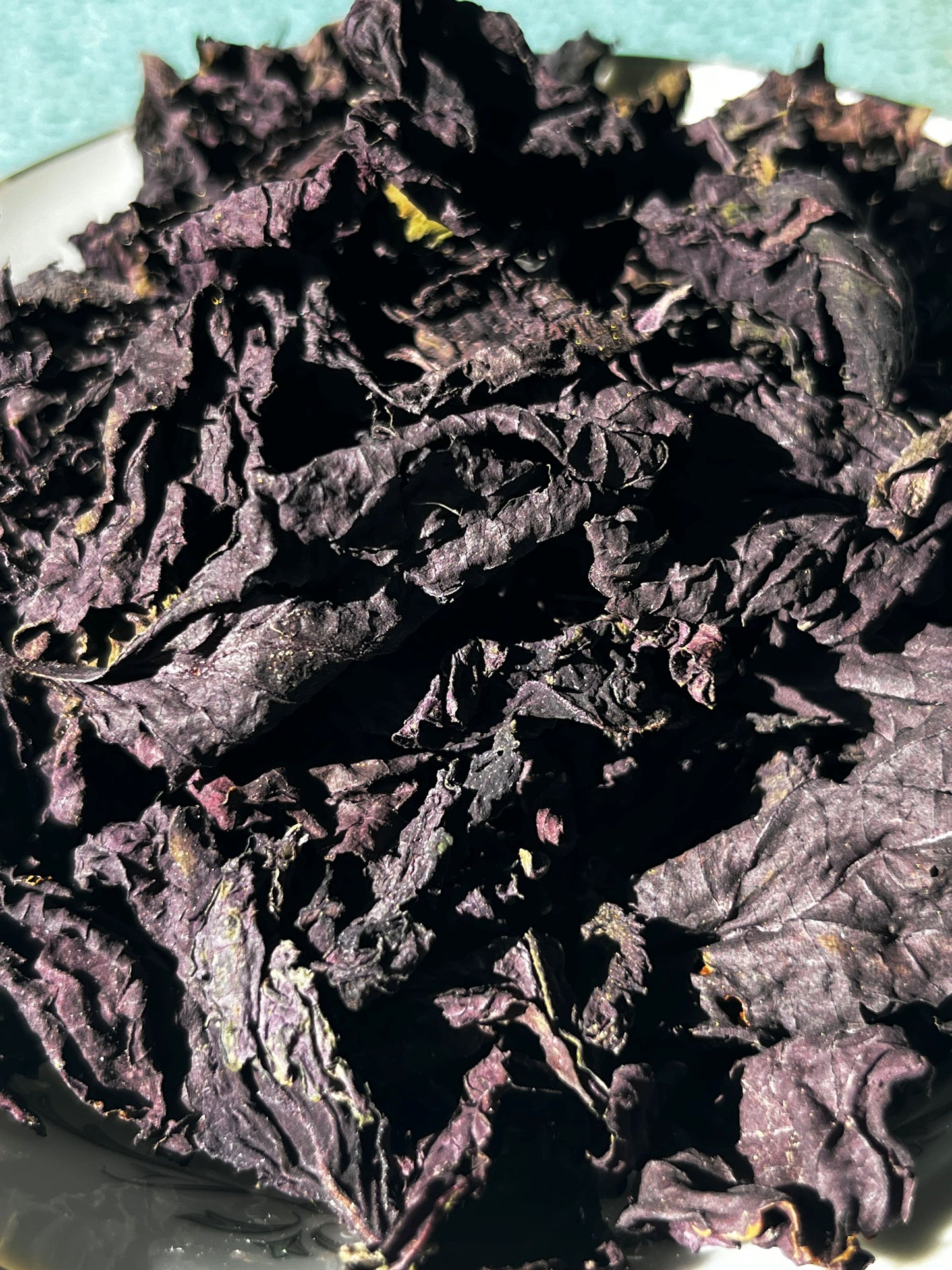 Shiso