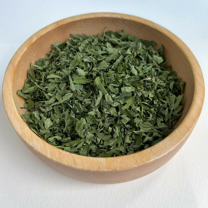 Stinging Nettle