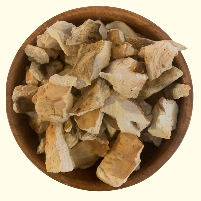 Chicken of the Woods Mushroom - Grown Organically