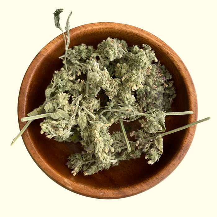 Catnip Flowers - Grown Organically