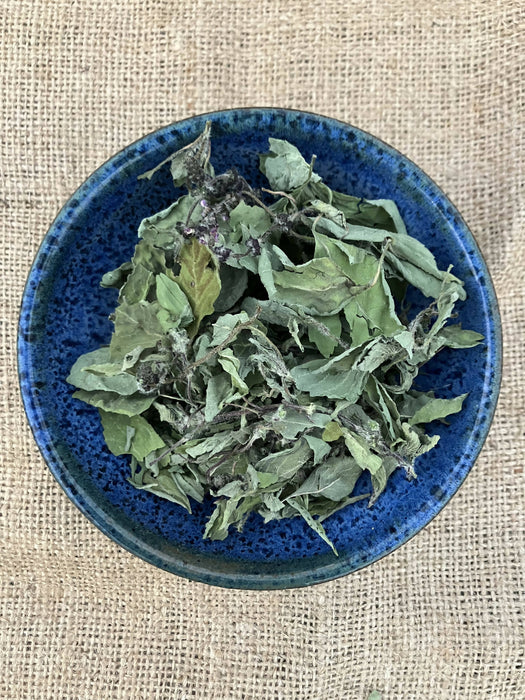 tulsi