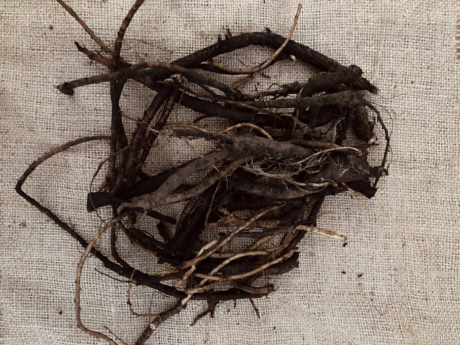 Comfrey Root, Fresh, Certified OG