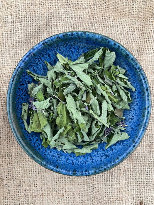 Anise Hyssop - Certified OG
