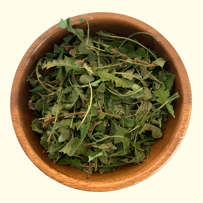 Sweet Fern - Grown Organically