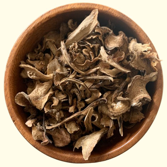 Burdock Root - Grown Organically