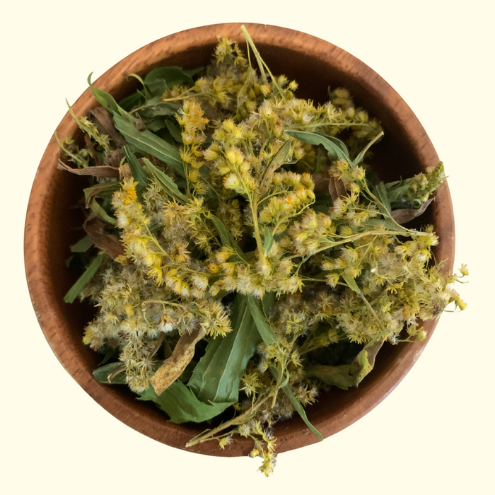Goldenrod - Grown Organically
