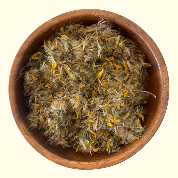 Arnica