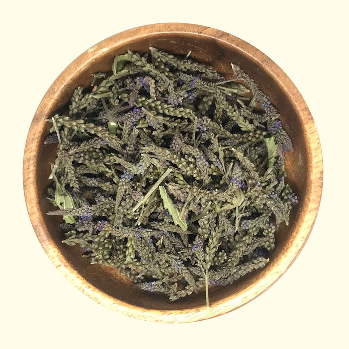 Blue Vervain