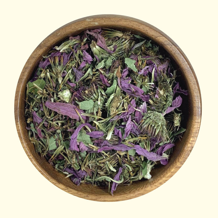 Echinacea - Grown Organically
