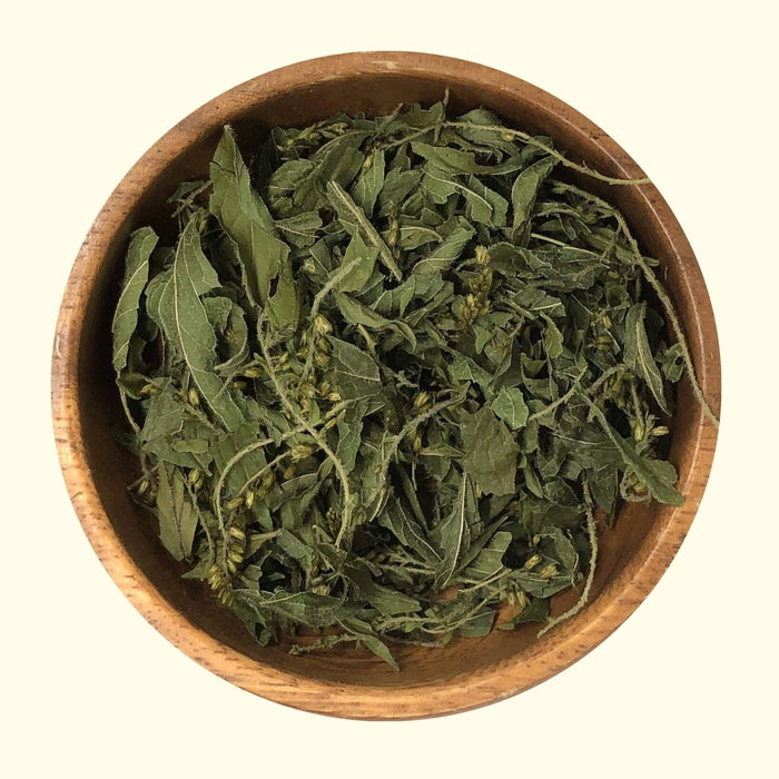 Goldenrod - Grown Organically