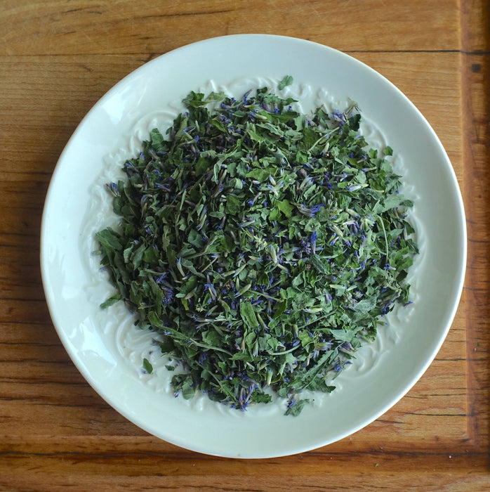 Anise Hyssop Certified OG