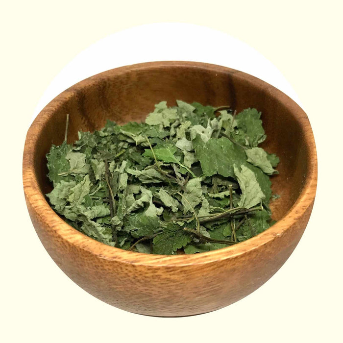 Lemon Balm - Certified OG