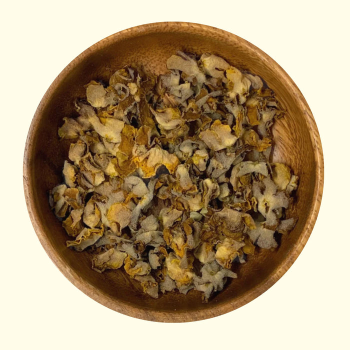 Mullein Flower - Grown Organically