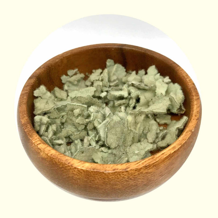 Mullein Leaf - Certified OG