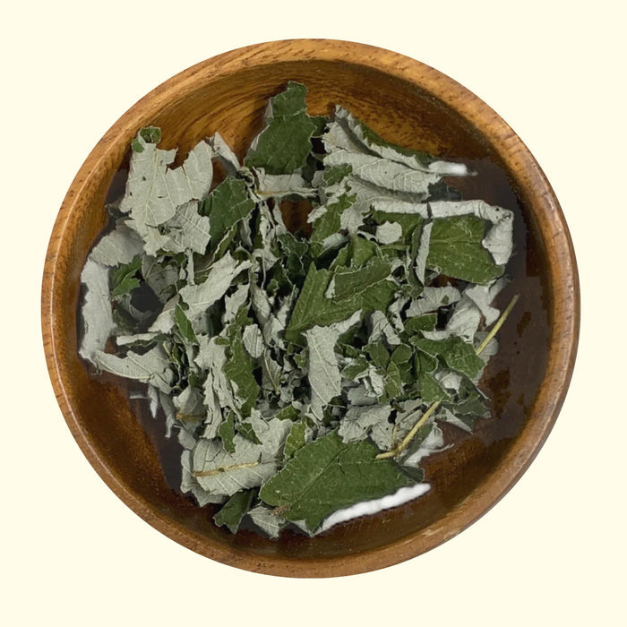 Raspberry Leaf - Grown Organically