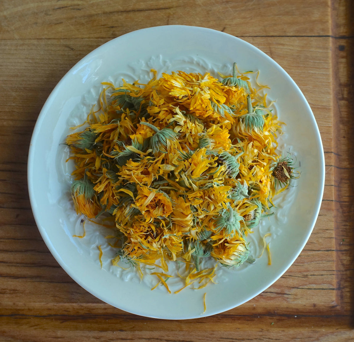 calendula4_bright