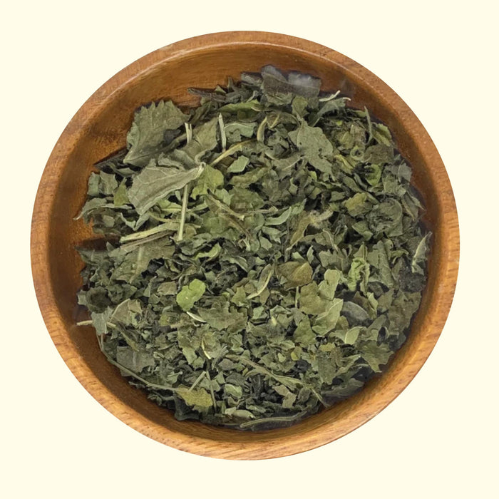 Wood Betony - Grown Organically