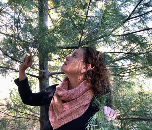 The Quiet Medicine of White Pine