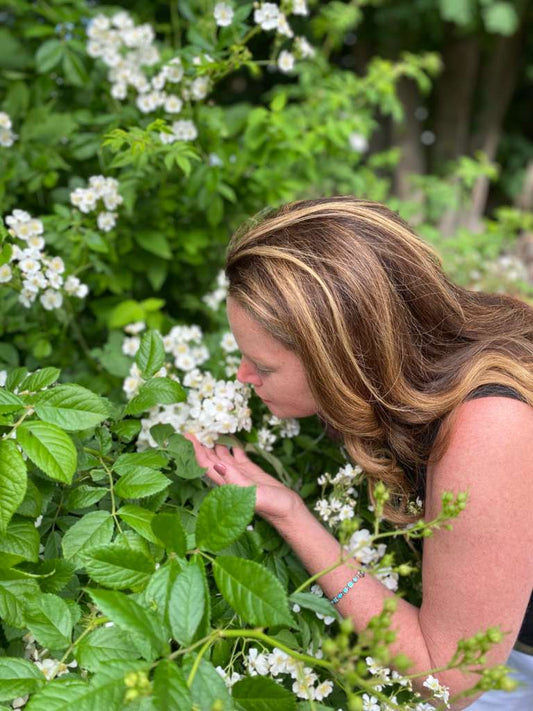 Multiflora Rose, Wild Rose - or, the Bane of My Existence?
