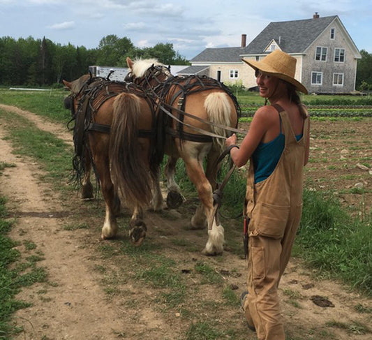 Growing with Community: Building Horsetail Herb Farm Through Collaboration, Draft Horses, and Shared Purpose