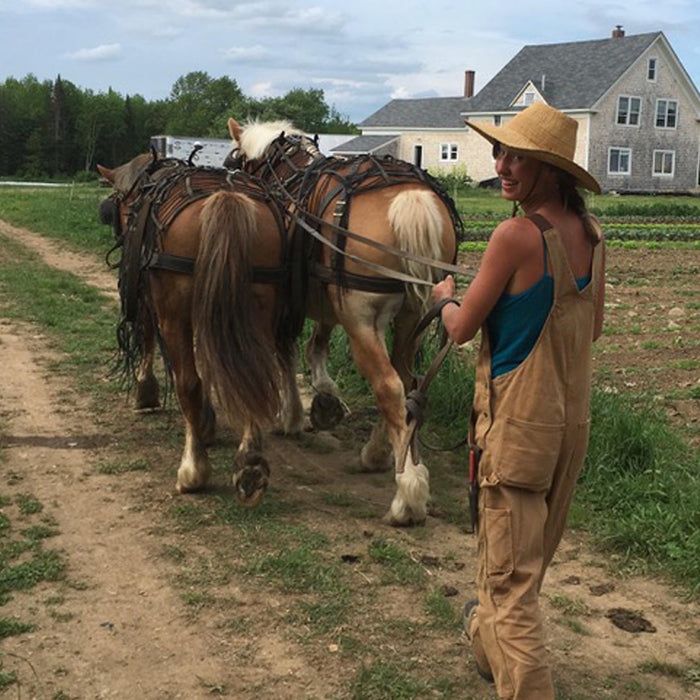 Growing with Community: Building Horsetail Herb Farm Through Collaboration, Draft Horses, and Shared Purpose