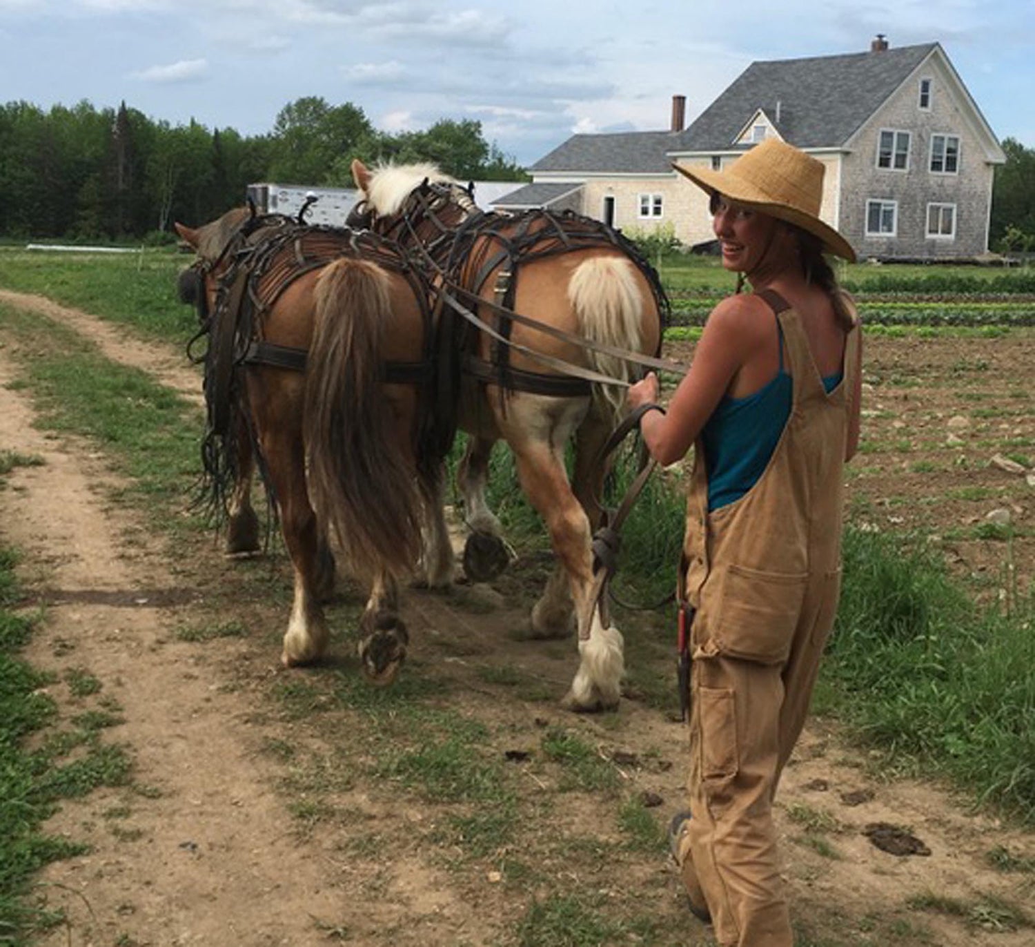 Horsetail Herb Farm