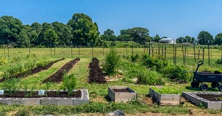 Restoration Acres Farm