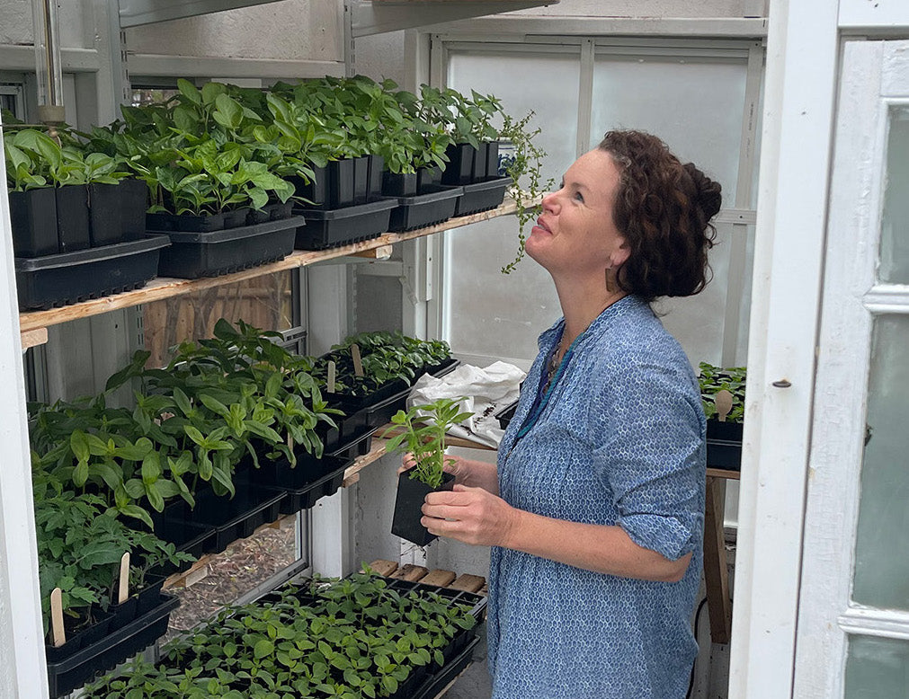 Meeting House Herb Farm