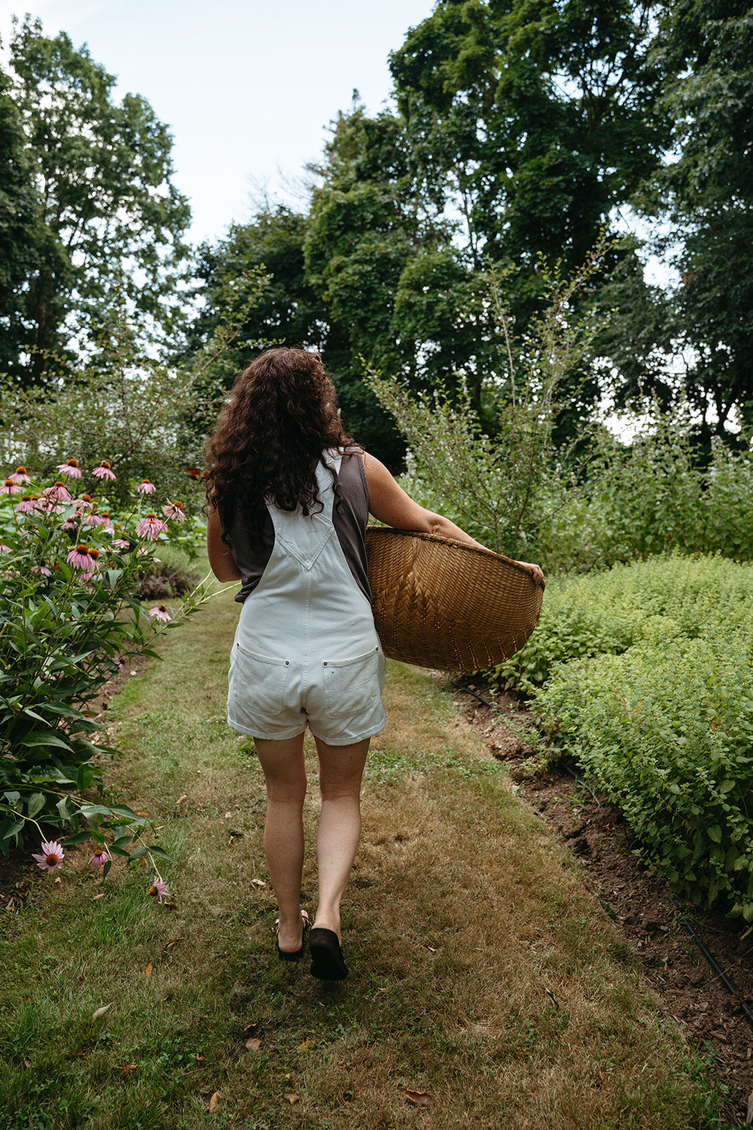Botanicals Available for Pre-Order