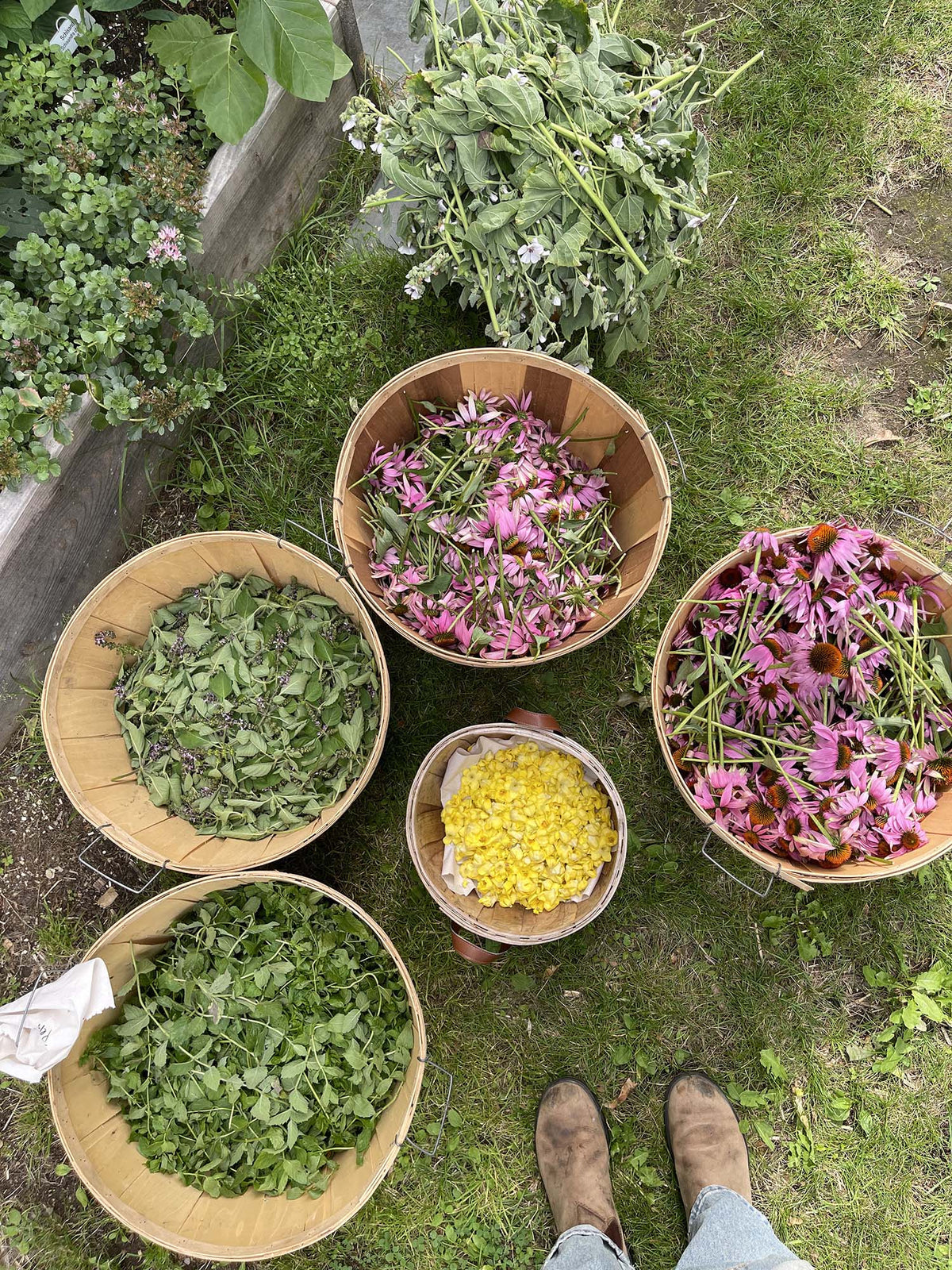 All our offerings — Meeting House Farm