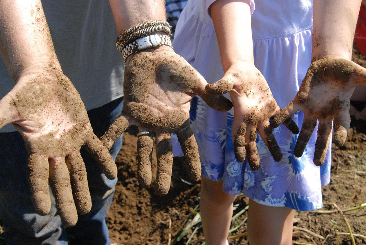 Gratitude Collection