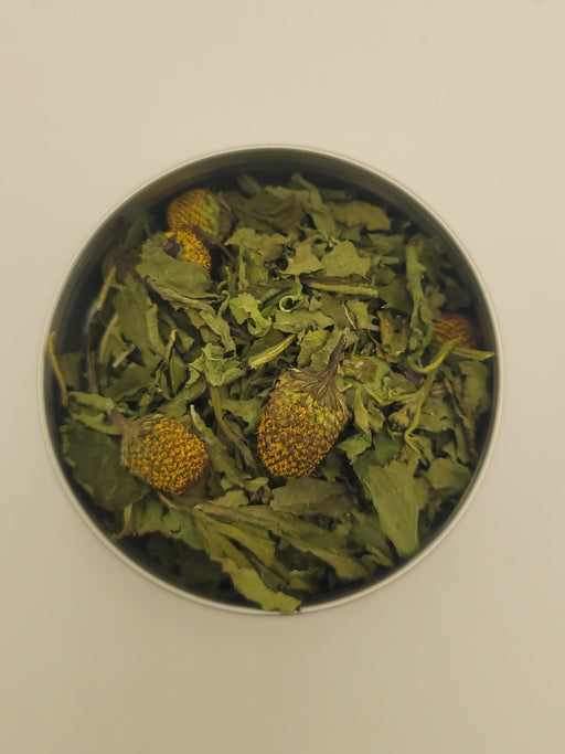 Spilanthes in metal bowl