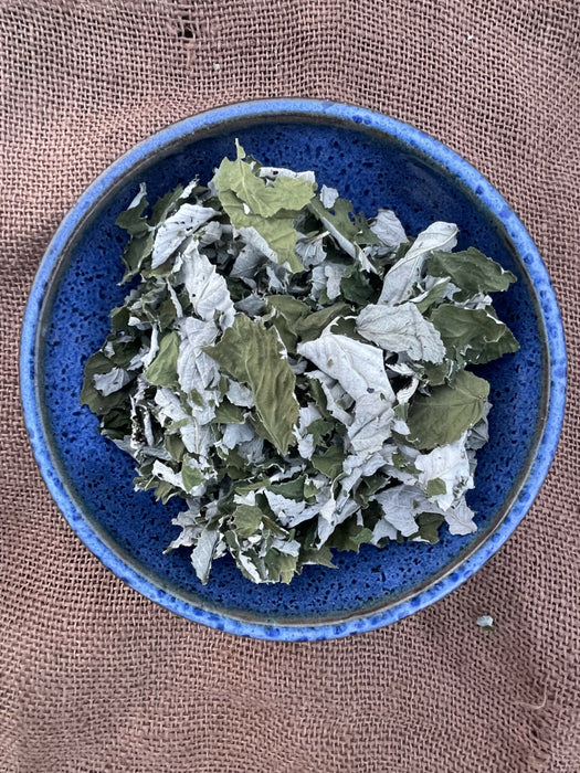 Raspberry Leaf- Certified OG