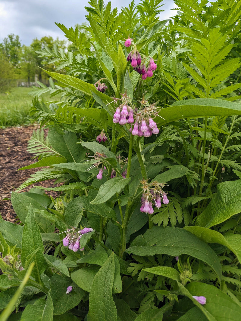 PXL_20250503_170426492