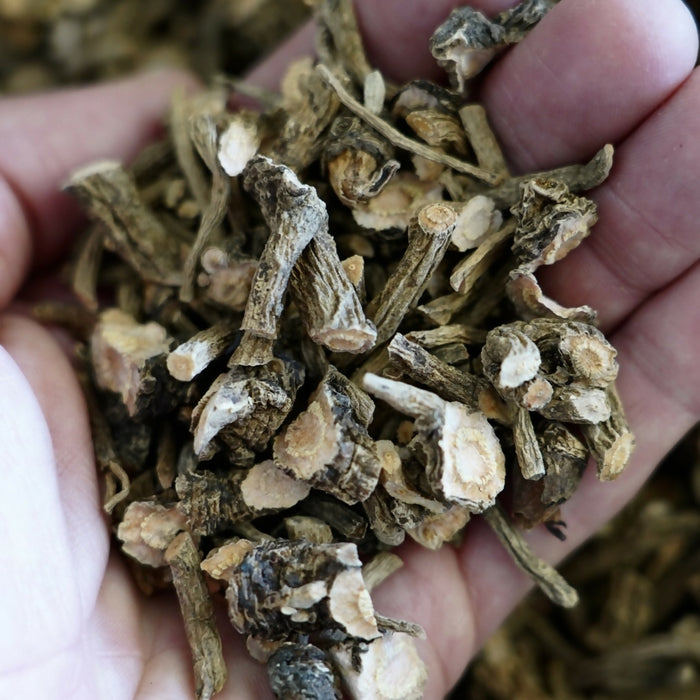 Dried Yerba Mansa Root
