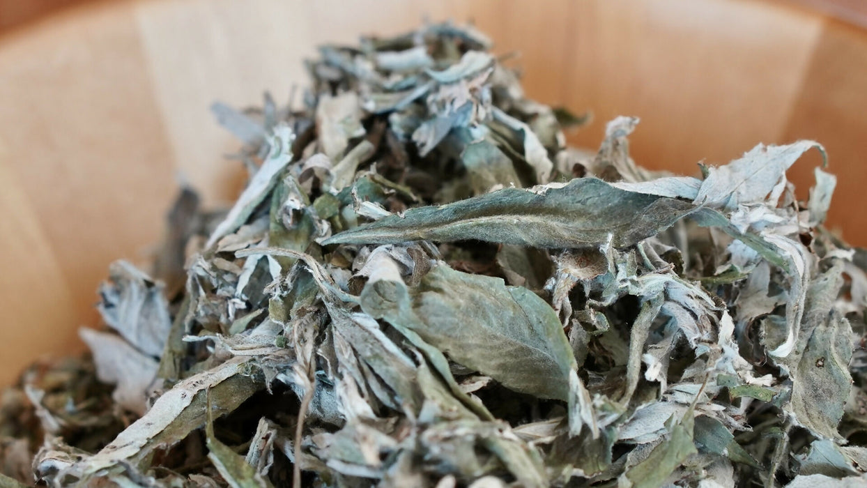 Dried Mugwort Leaf