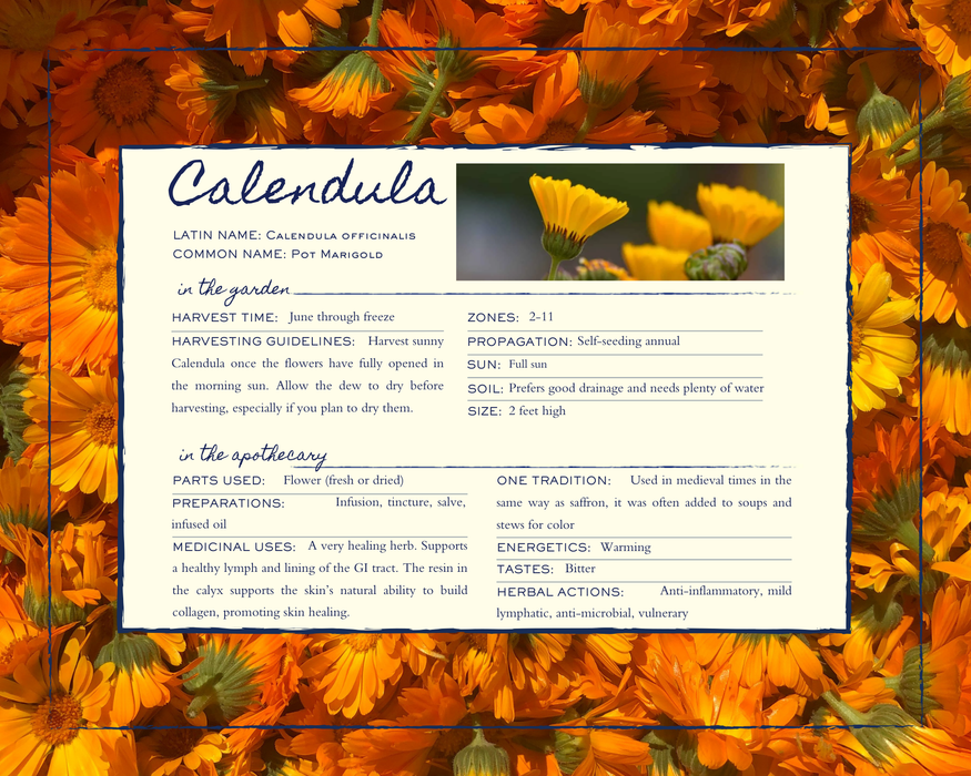 Grow Your Own Apothecary Calendar 2026