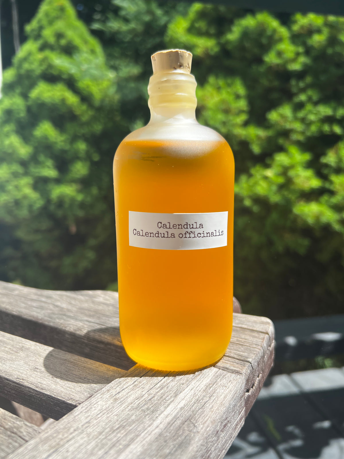 Calendula - Certified OG